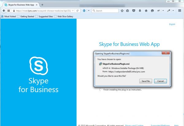skype web app
