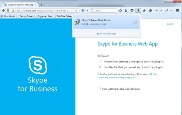 skype business web app skype business web app